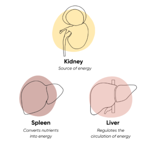 Meridian Massage Singapore