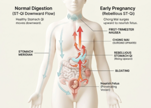 morning sickness a tcm guide for pregnancy