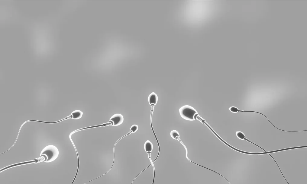 Semen Quality & Male Fertility: A TCM Guide to Improving Vitality Naturally