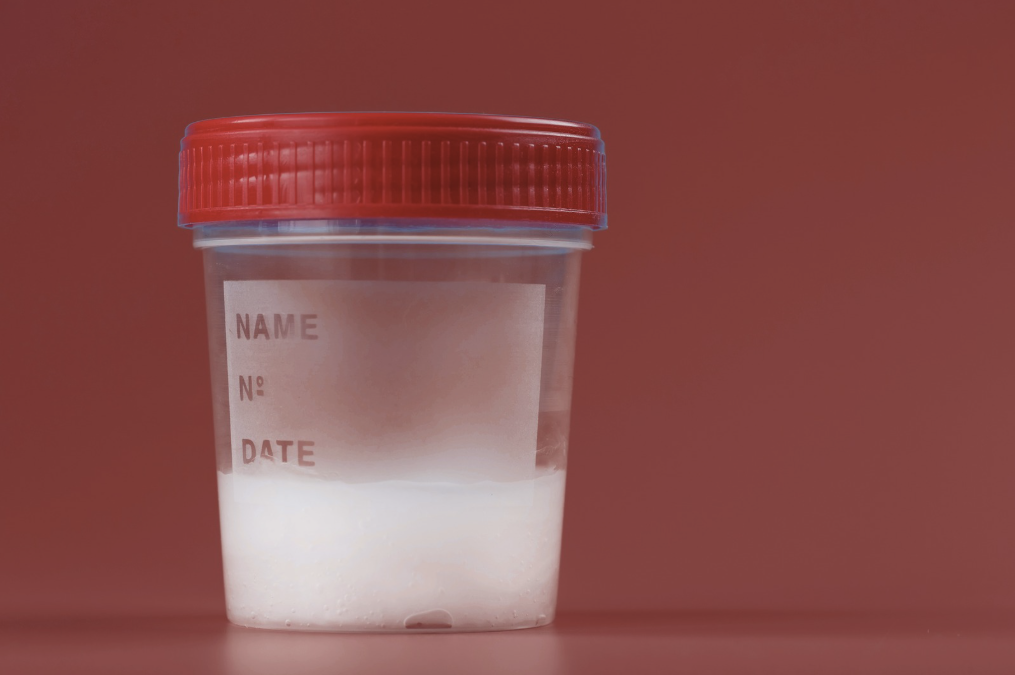 Semen Quality & Male Fertility: A TCM Guide to Improving Vitality Naturally